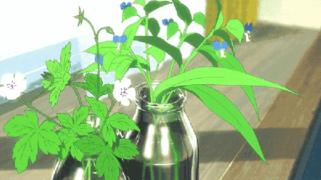 640 (1).gif